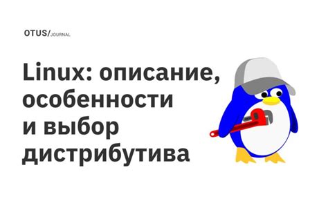 Выбор дистрибутива Linux для новичков: с чего начать?