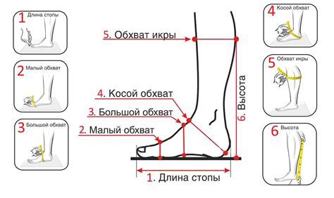 Выбор обуви с учетом полноты f6