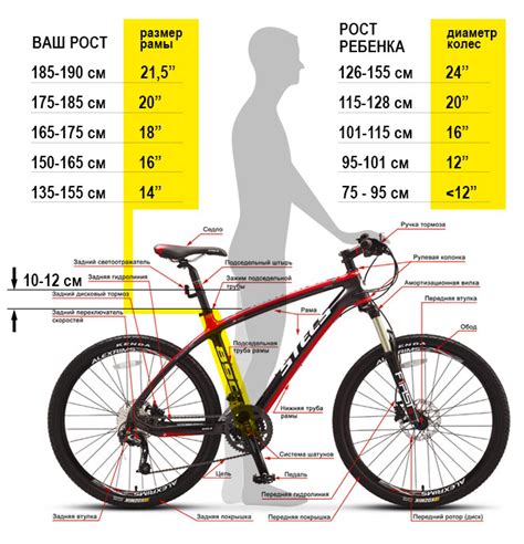 Выбор размера рамы велосипеда
