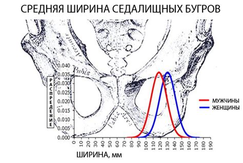 Выбор седла и снаряжения