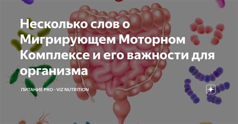 Выводы о типичном состоянии и его важности для организма