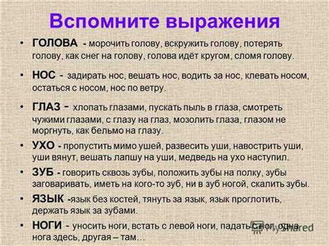 Выражение "язык достает до носа": значение и интерпретация