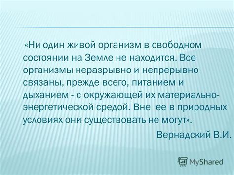 Выявление основных понятий и их взаимосвязей