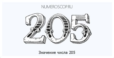 В чем особое значение числа 205