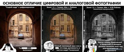 В чем отличие аналоговой девушки от цифровой?