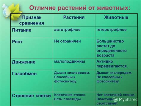 В чем отличие кроткости от покорности