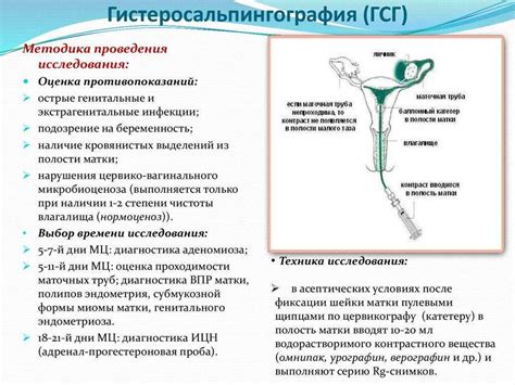 ГСГ - что это такое