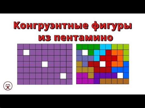 Где можно встретить конгруэнтные отрезки и как они применяются?