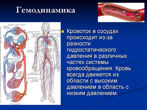 Гемодинамика гипертонического типа: что это такое