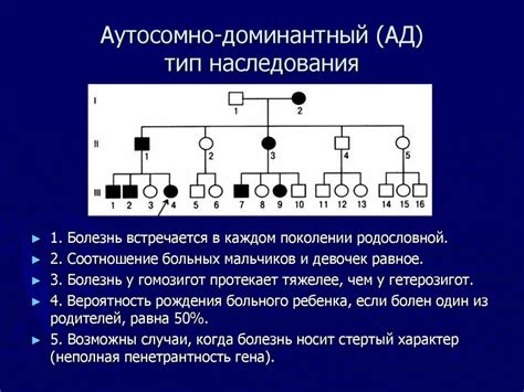 Генетика аутосомно рецессивного признака