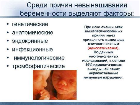 Генетические и иммунологические аспекты мужской беременности