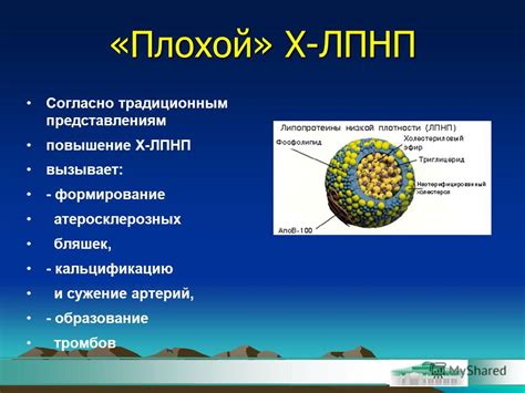 Генетические факторы и повышение уровней ЛПНП