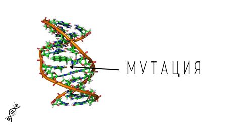 Генетический фактор и мутации