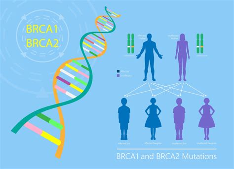 Генетическое консультирование при наличии мутации гена BRCA1 и BRCA2