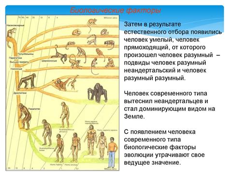 Геном и его роль в эволюции