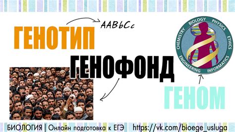 Генофонд нации: что это такое и почему важно его сохранение