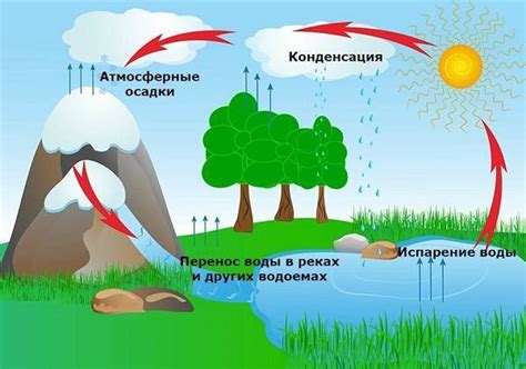 Географическое положение и гидрологический цикл