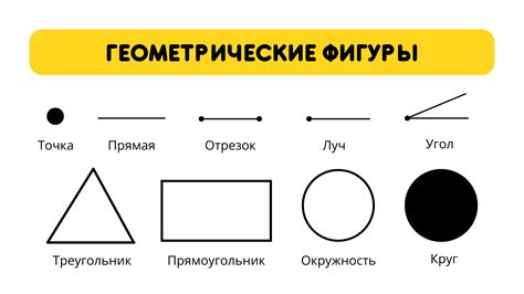 Геометрическая фигура круг: основные свойства