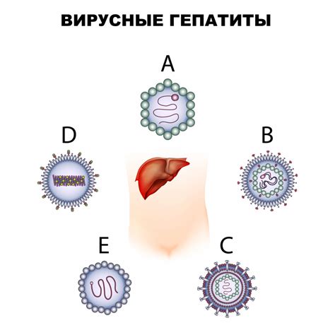 Гепатиты: разновидности, симптомы и последствия