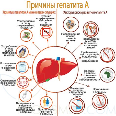 Гепатит А: определение, проявления, причины