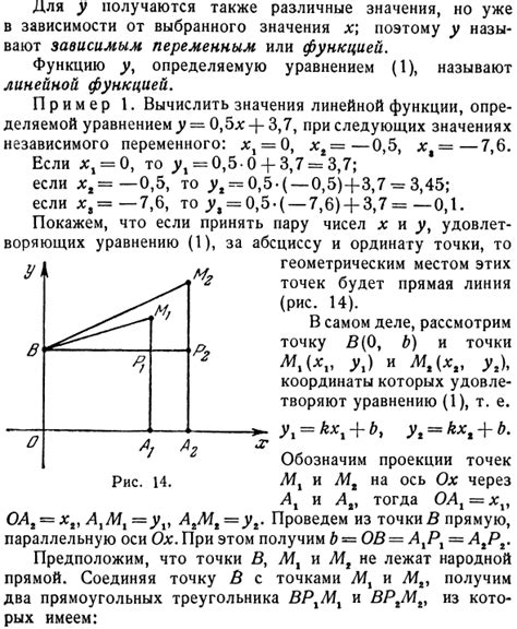 Гетероориентация: определение и смысл