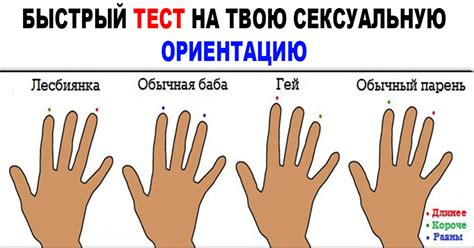 Гетеро ориентация и её значение