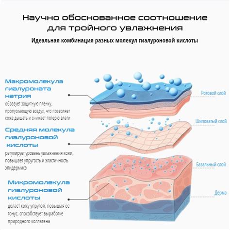 Гиалуроновая кислота: низкомолекулярная и высокомолекулярная