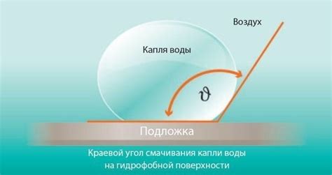 Гидрофобная поверхность тела