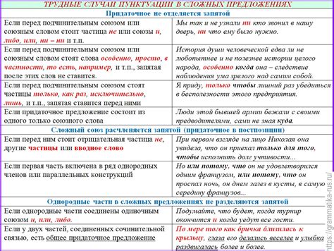 Гиперонимия и гипонимия в сложном предложении