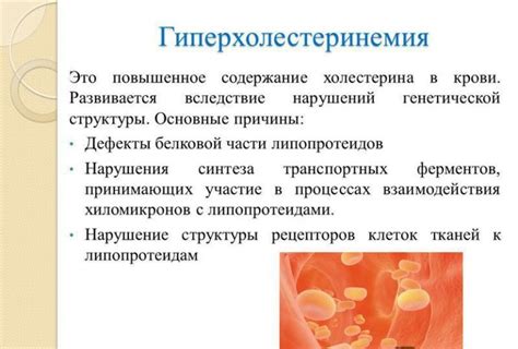 Гиполипидемические препараты: определение и механизм действия