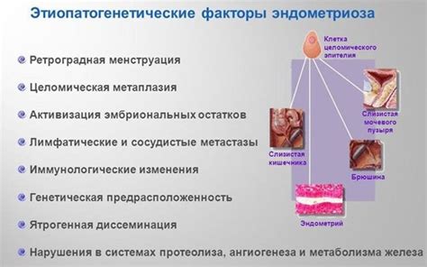 Гипопластический эндометрий: диагностика и указатели