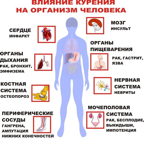 Гипохолестеринемический эффект: действие на организм и польза