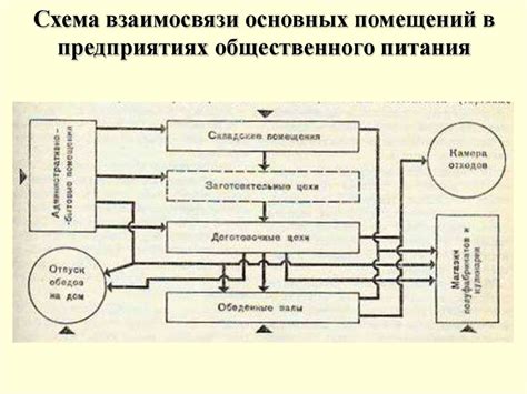 Гистамины: основные факты и взаимосвязи