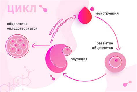 Главные признаки произошла овуляция