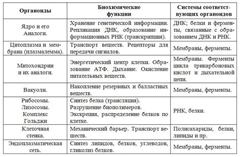 Главные функции и особенности UDS