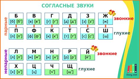 Гласные и согласные звуки в русском языке