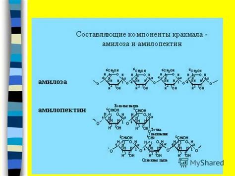 Гликоген и выносливость: связь между запасами этого вещества и спортивными достижениями