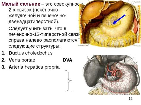 Глубинный смысл сновидений о повреждении на брюшной полости и их символическое значение