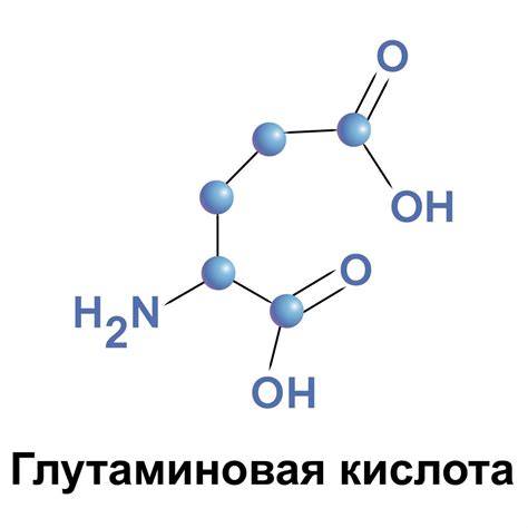 Глутамин и глутаминовая кислота: в чем разница?