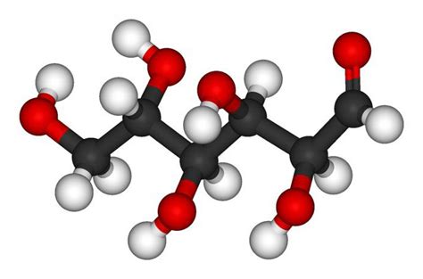 Глюкоза - основное энергетическое вещество в организме кошки