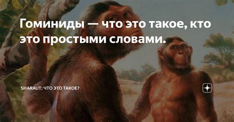 Гоминины и гоминиды: что это?