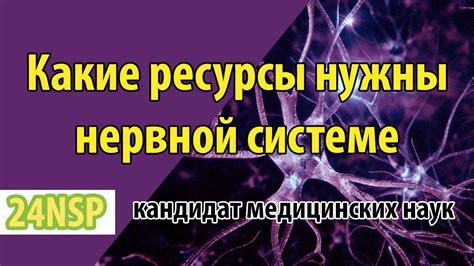 Гопантеновая кислота: влияние на нервную систему