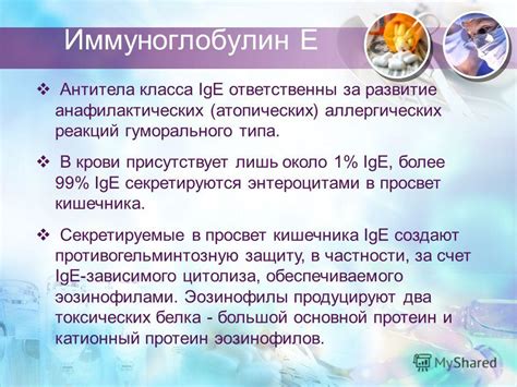 Гормональное неравновесие и его роль в возникновении атопических реакций