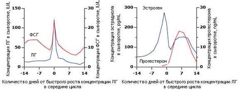 Гормональные изменения в фолликулиновой фазе