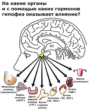 Гормональные симптомы нарушений гипофиза