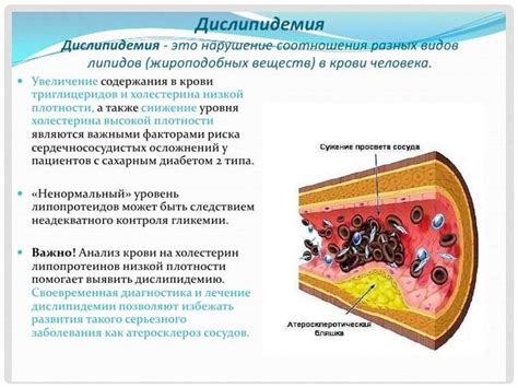 Гормональные факторы и их связь с ритмом сердца