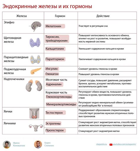 Гормоны и их связь с психическими нарушениями у мужчин