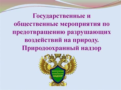 Государственные программы по предотвращению СРЧ