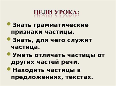 Грамматические особенности использования частицы "пан"