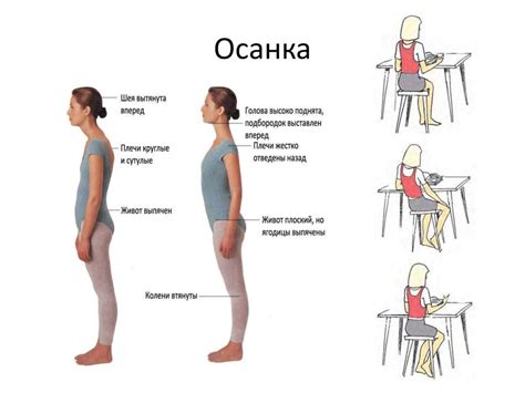 Грациозная осанка и поднятая голова